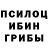 Галлюциногенные грибы Psilocybine cubensis Gritx 69