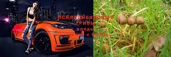 бутират Майский