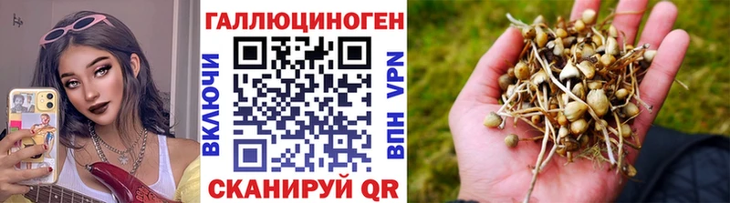 Галлюциногенные грибы Psilocybine cubensis  Купить  Микунь 