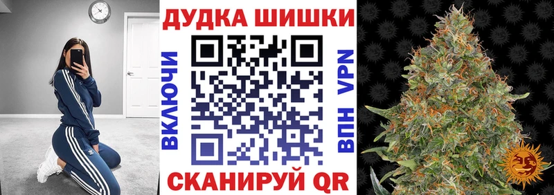 Марихуана план  Купить закладки  Микунь 
